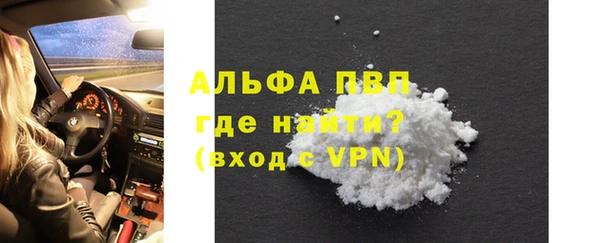 стаф Богданович