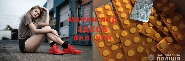 стаф Богданович