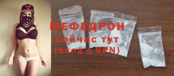 стаф Богданович
