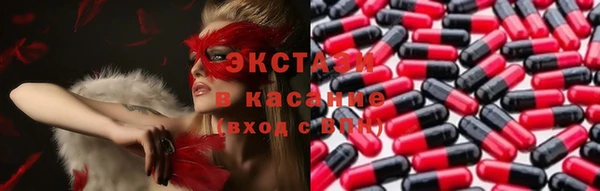 стаф Богданович