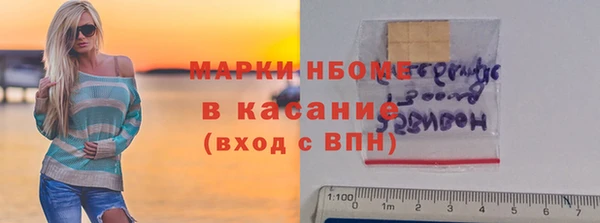 стаф Богданович