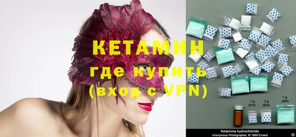 стаф Богданович