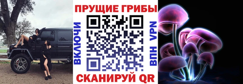blacksprut зеркало Самара Псилоцибиновые грибы Psilocybine cubensis